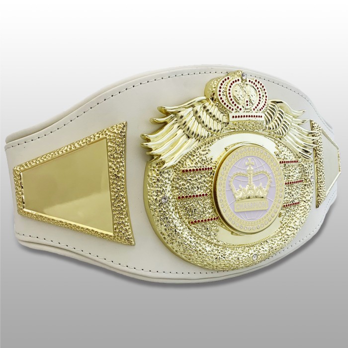 *NEW* PROICON CHAMPIONSHIP BELT/G/WHTGEM - AVAILABLE IN 6+ COLOURS